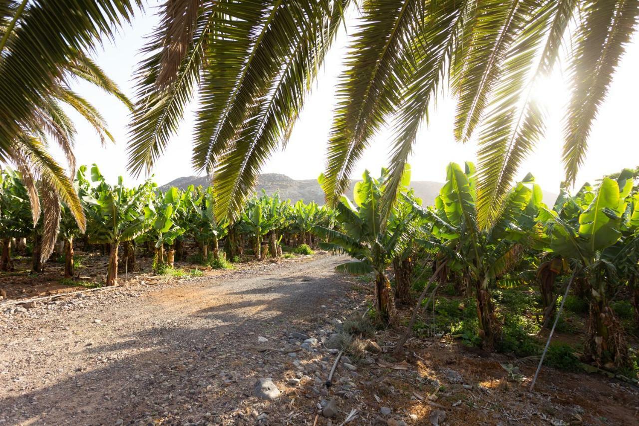 Casita 1, Caserio De Guaza Palm-mar Exteriör bild